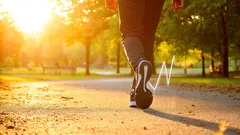 Chůze v parku při západu slunce, zdravý životní styl, sportovní obuv na stezce